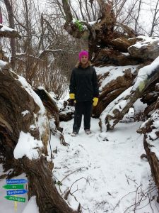 State Hospital Trail - Hippie Tree - Traverse City Michigan