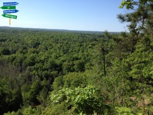 High Roll Aways Buckley Michigan