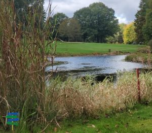 Interlochen Golf Course Water Hazard